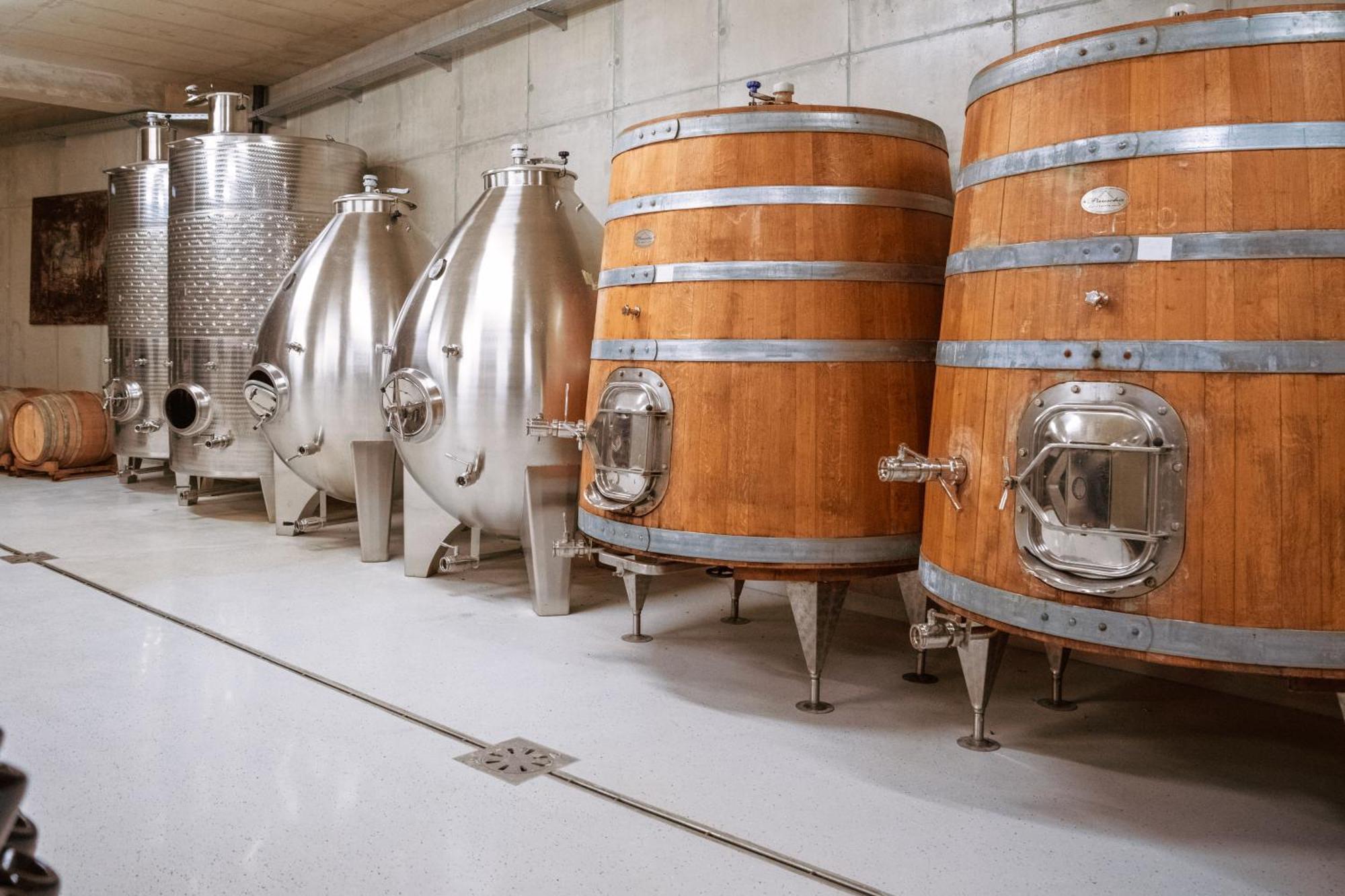 Posestvo Scurek Wine Bed and Breakfast Dobrovo Εξωτερικό φωτογραφία
