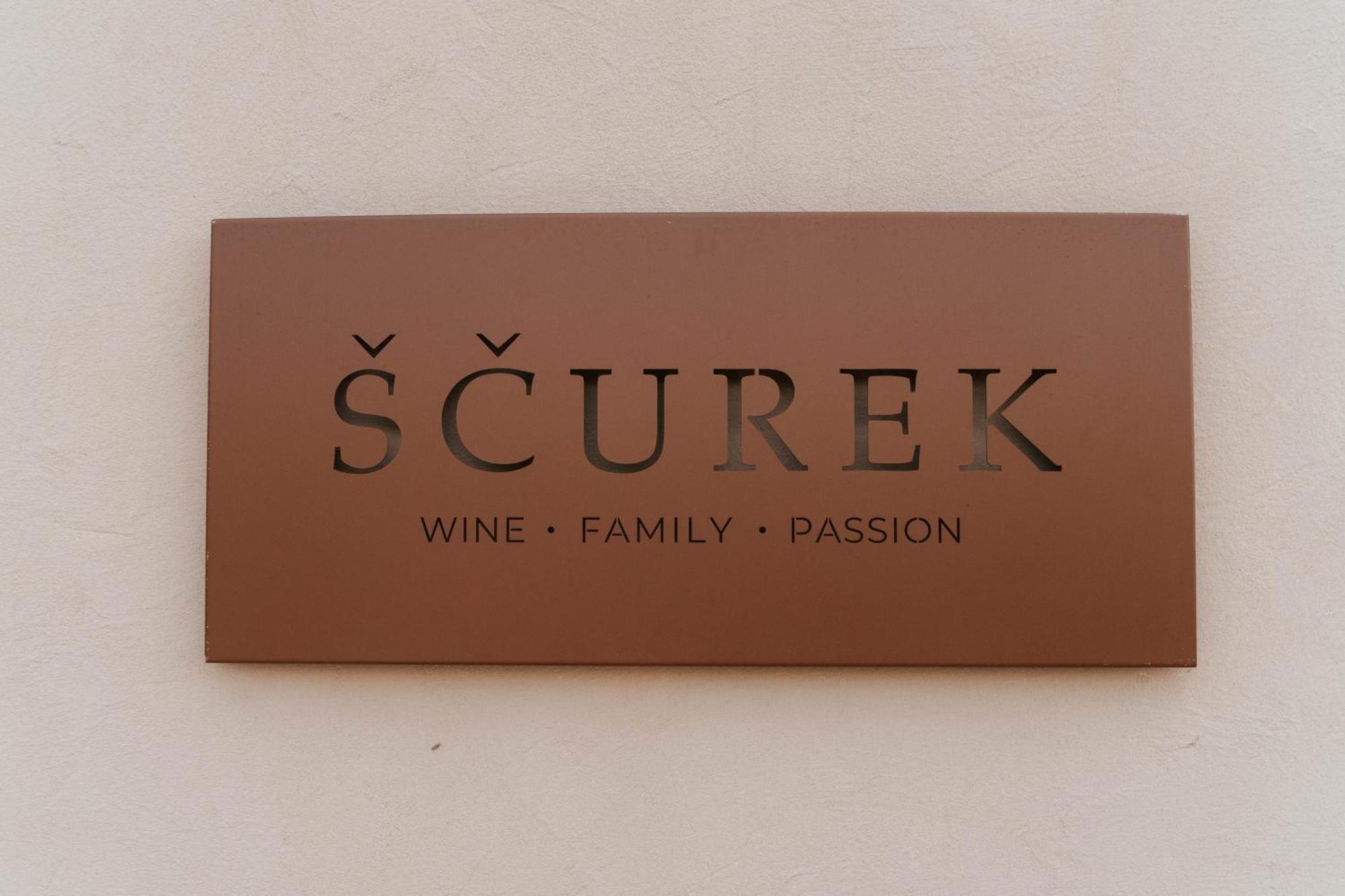 Posestvo Scurek Wine Bed and Breakfast Dobrovo Εξωτερικό φωτογραφία