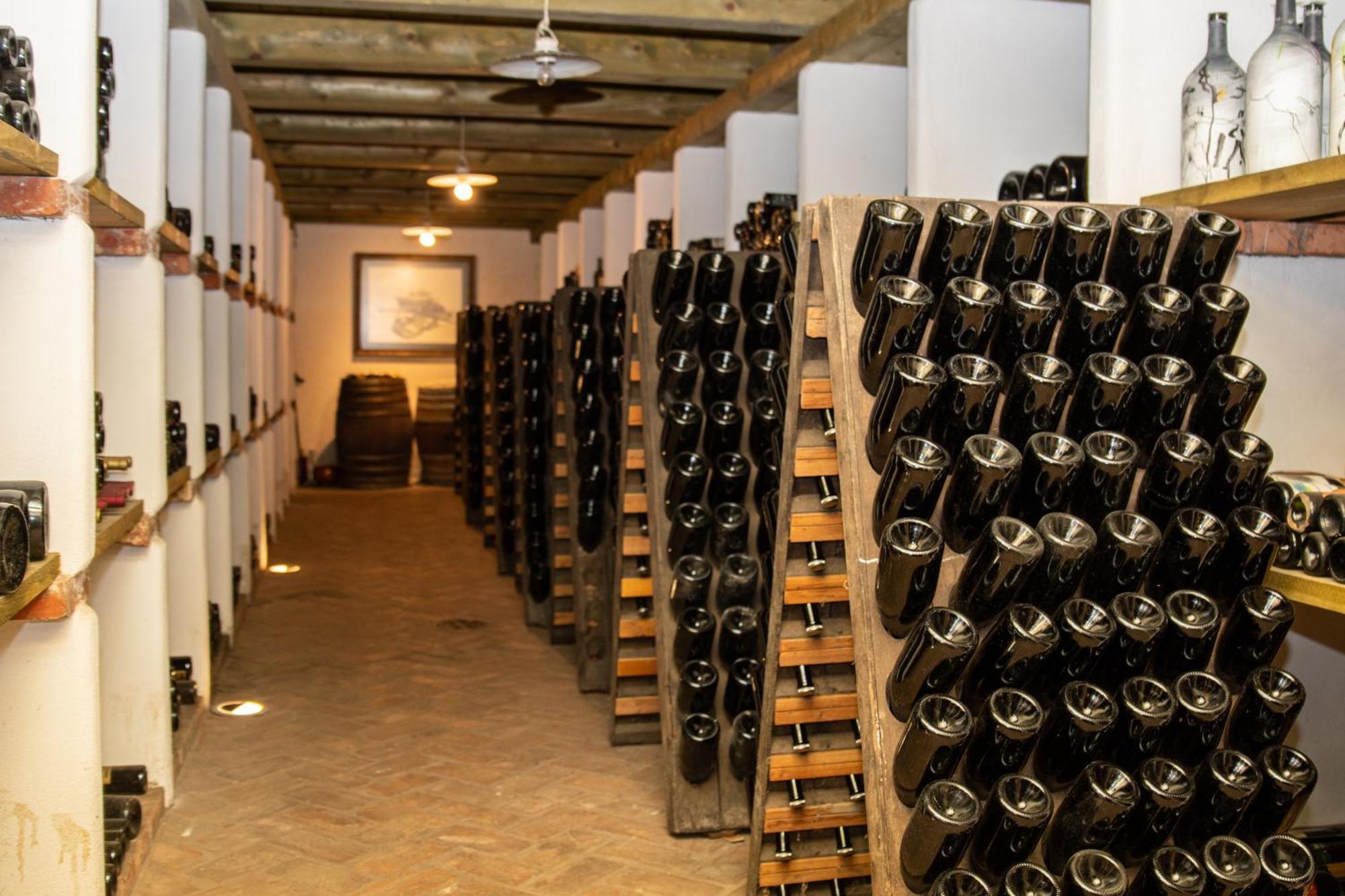 Posestvo Scurek Wine Bed and Breakfast Dobrovo Εξωτερικό φωτογραφία