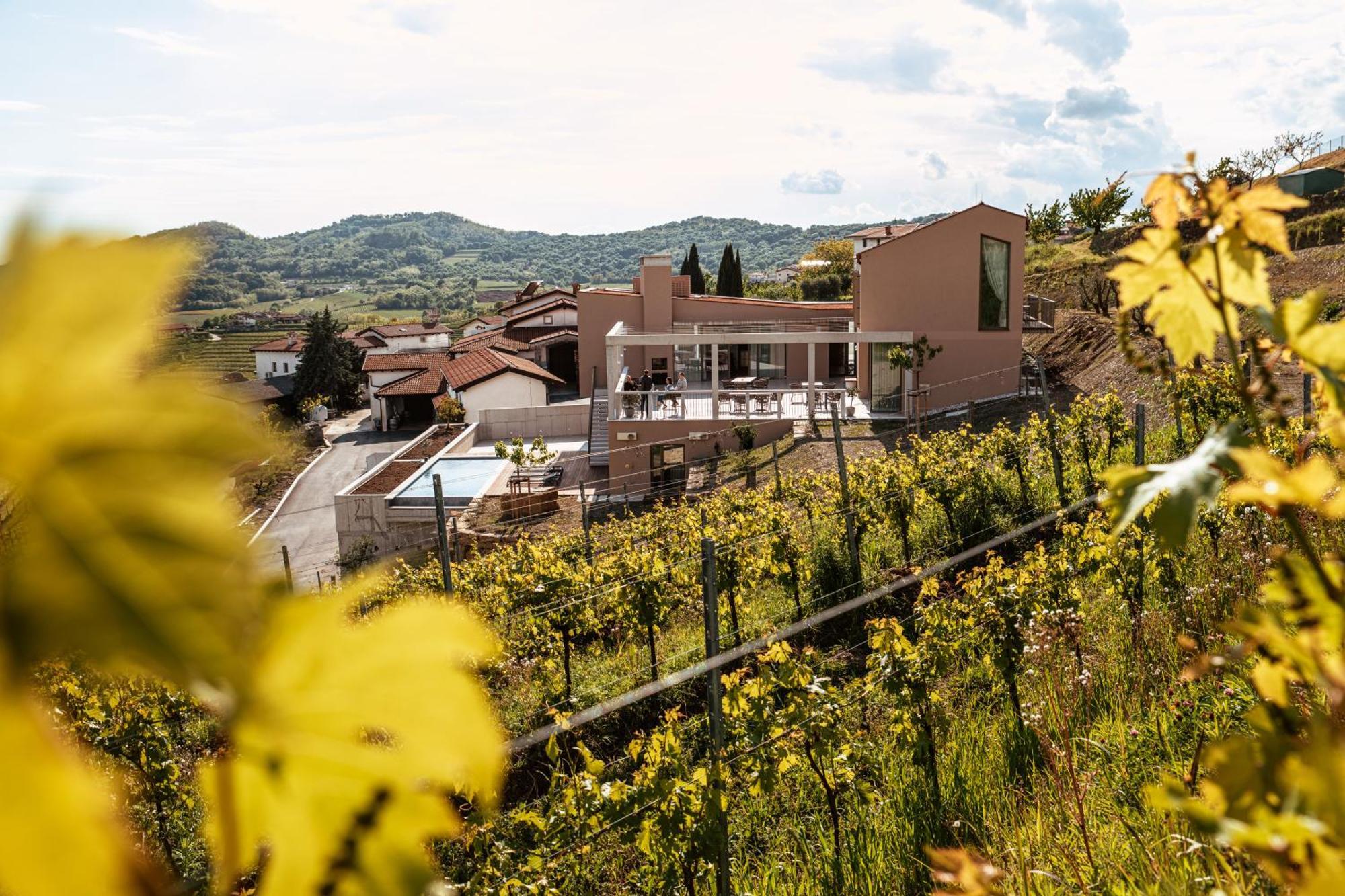 Posestvo Scurek Wine Bed and Breakfast Dobrovo Εξωτερικό φωτογραφία