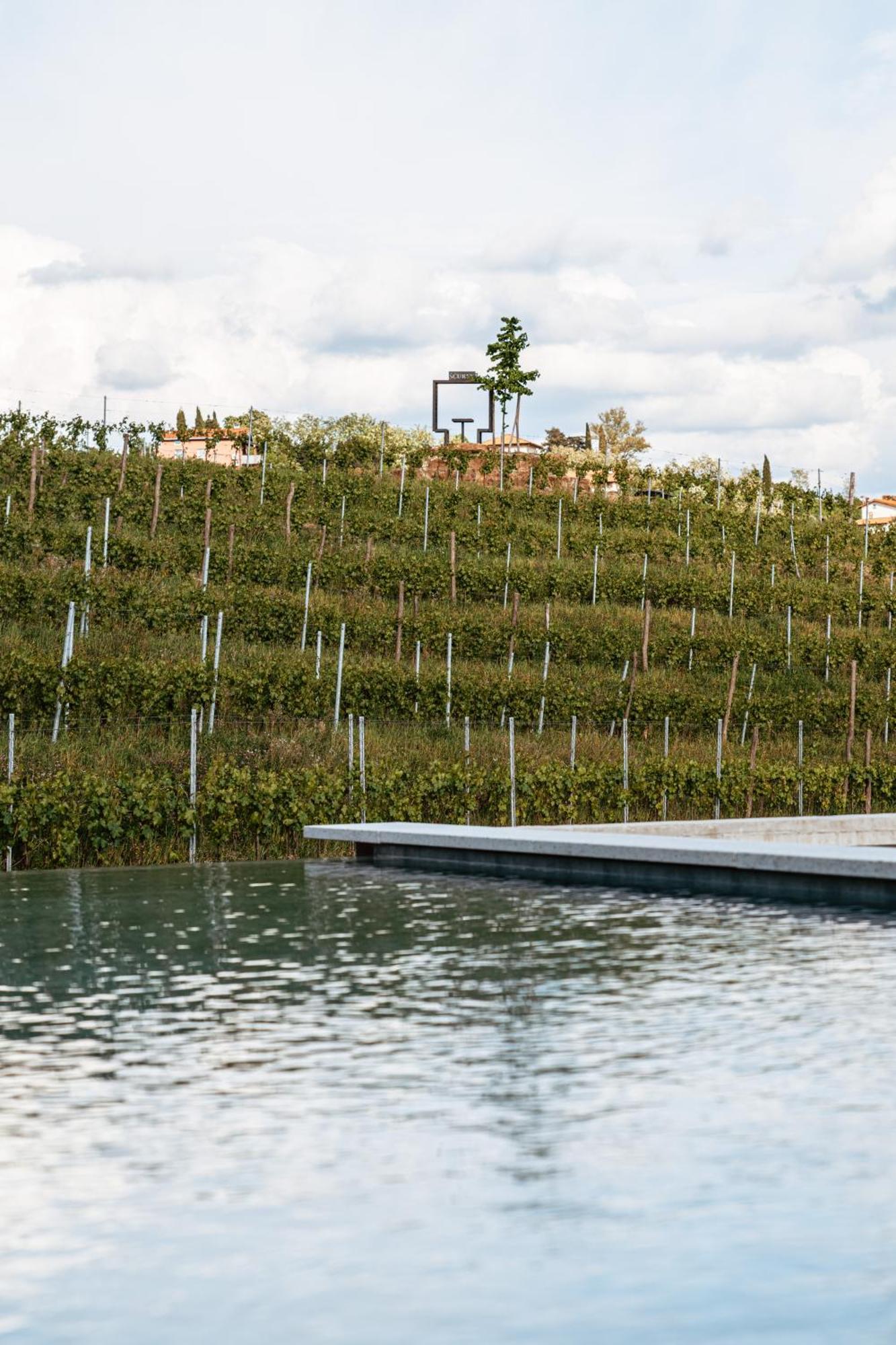 Posestvo Scurek Wine Bed and Breakfast Dobrovo Εξωτερικό φωτογραφία